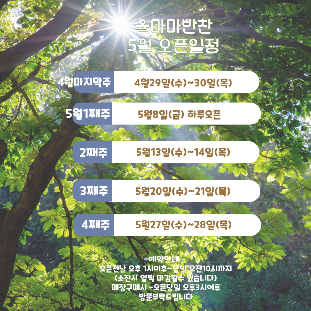 일정